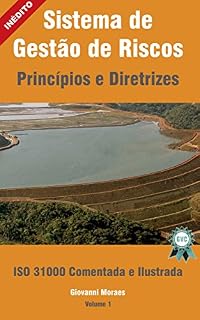 Livro Sistema de Gestão de Riscos - ISO 31.000 Comentada e Ilustrada: ISO 31.000 - Princípios e Diretrizes