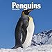 Penguin Calendar - Cute Animal Calendar - Calendars 2019 - 2020 Wall Calendars - Animal Calendar - P by 