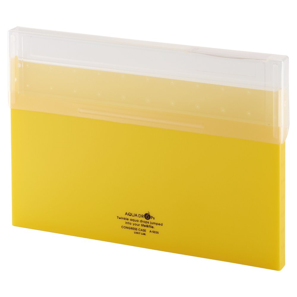 リヒトラブ コングレスケース 書類 ファイルケース A4 薄型 黄 A5035-5商品画像
