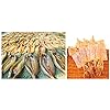 Food-Dehydrator-3-Tray-Hanging-Drying-Net-Non-Electric-For-Drying-Herbs-Fruits-Vegetables-Fish