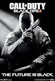 Call Of Duty Black Ops 2 Stealth Video Game Poster 13 x 19in