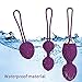 2 in 1 Kegel Exercise Weights Ben Wa Balls Sets Kegel Balls for Women Beginners & Pleasure - Doctor Recommended for Bladder Control & Pelvic Floor Exercises (Purple)