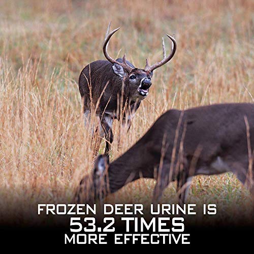 RAW Frozen Scents Peak Standing Doe Estrus Buck Attractant Whitetail