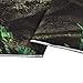 Sevenstars Green Forest Tapestry Virgin Forest and Grass Tapestry Nature Tree Tapestry Wall Hanging for Room