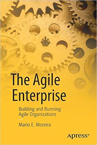 The Agile Enterprise: Building and Running Agile Organizations-Wow! eBook