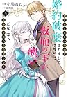 身に覚えのない理由で婚約破棄されましたけれど、仮面の下が醜いだなんて、一体誰が言ったのかしら? 第3巻