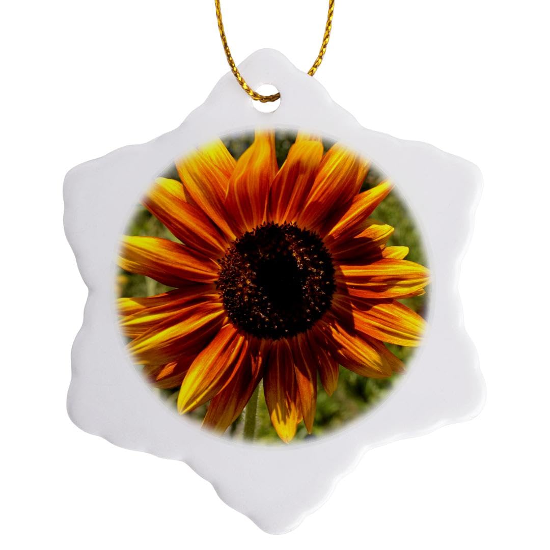 3dRose Orange and Yellow Summer Sunflower Flowers Snowflake Ornament, Porcelain, Multi-Colour, 3-Inch