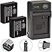 BM 2-Pack of DMW-BLG10 Batteries and Battery Charger for Panasonic Lumix DC-ZS80, DC-GX9, DC-LX100 II, DC-ZS200, DC-ZS70, DMC-GX80, DMC-GX85, DMC-ZS60, DMC-ZS100, DMC-GF6, DMC-GX7K, DMC-LX100K Cameras primary