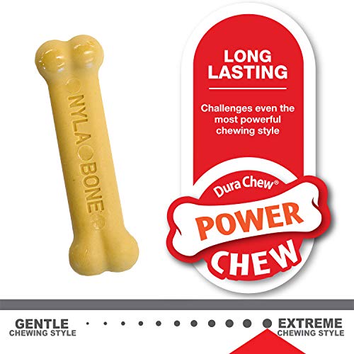 6 Nylabone+Peanut+Butter+Chicken+X+Small