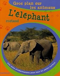 L' éléphant costaud