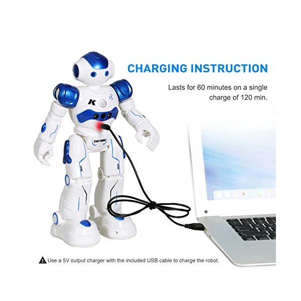 ANTAPRCIS Rc Robot Toys Gifts for Kids - RC Gesture Remote Control Robot Programmable with Infrared Controller and LED…