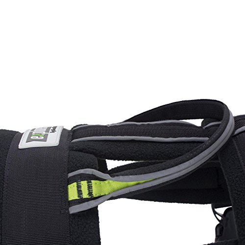 FrontPet Explorer Dog Pulling Harness with Included Dog Pulling Leash, Dog Harness - Thumbnail 3