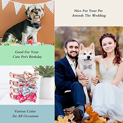 Bunt Hundehalsband mit Schleife, Süße Hundehalsbänder Geeignet für Kleine/Mittelgroße/Große Hunde und Katzen, Bequemes und Verstellbares Hundehalsband, Orange XS