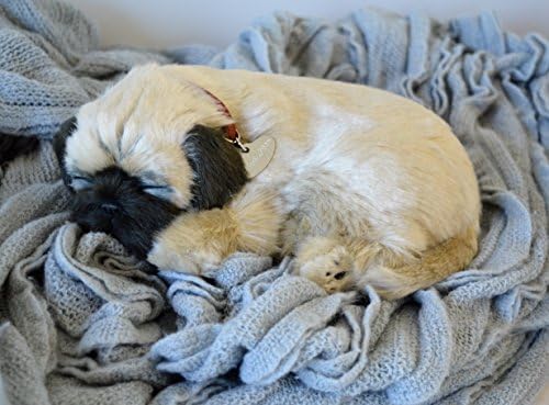 Breathable Pug Puppy Companion Pet for People with Memory Loss from Aging and Caregivers