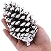 Supla 10 PCS Natural Pinecones Medium Frosted Pine Cones Ornaments Real Preserved Pine Cones - Dried -3