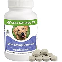 chlorophyll tablets for dogs
