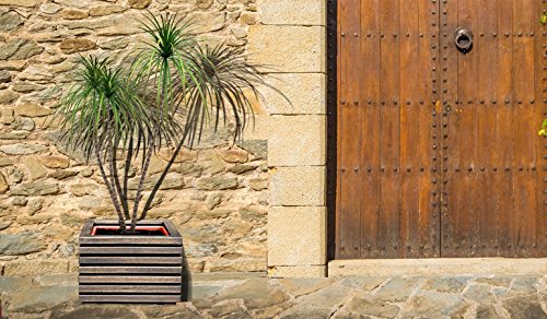 4betterdays.com NATURlich leben! Pflanzenbehälter Pflanzkasten Pflanzkübel Blumenkasten Pflanztopf Blumentopf… – Bild 3