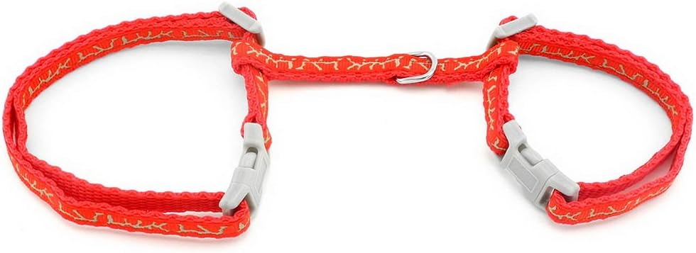 Ranphy Small Dog Halter Harness Cat Basic Harness Pet Collar with Lead Set Adjustable for Walking Training Running Hiking Red - Image 3