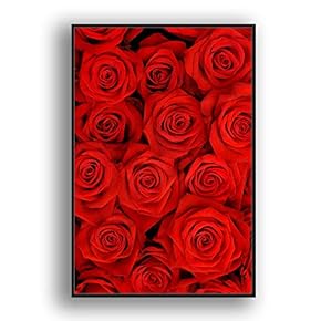 Framed Canvas Wall Art for Living Room, Bedroom Rose Closeup VI Canvas Prints for Home Decoration Ready to Hang - 16x24 inches
