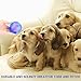 Rosmax Interactive Dog Toy, Best IQ Treat Dispensing Toy Ball for Small/Medium/Large Dogs Durable Chew Ball, Non-Toxic Rubber and Bouncy Dog Ball, Ball Shape Design Cleans Teeth