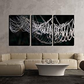 3 Piece Canvas Wall Art - Spider Web Covered with Morning Dew - Modern Home Art Stretched and Framed Ready to Hang - 16"x24"x3 Panels
