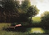 (20x28) Michael Sowa Diving Pig Kohler's Schwein Art Print Poster
