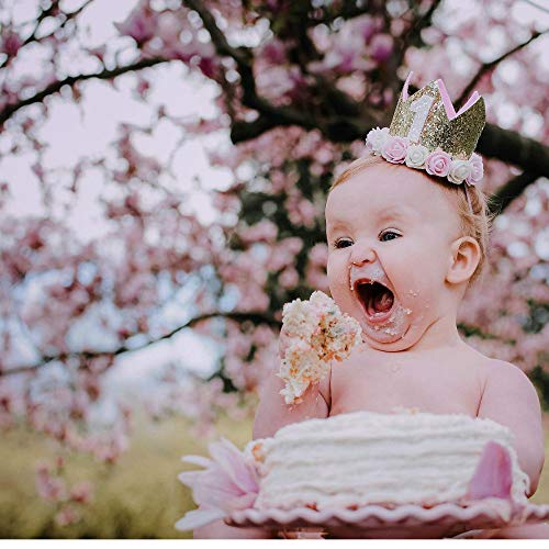 Suzzam 1 Birthday Hat, First Birthday Crown Baby Girl Princess Dog Birthday Hat Pets Reusable Birthday Party Hats Cat Kitten Headband Hats 1-5 Figures - Thumbnail 2