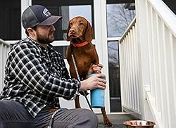 Dexas MudBuster Portable Dog Paw