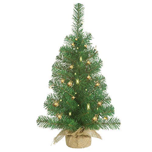 Concolor Fir Christmas Tree Buy Concolor Fir Christmas Tree For Cheap