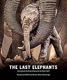 The Last Elephants