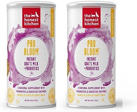 aquarium decorations online