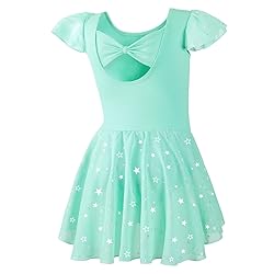 DIPUG Ballet Leotards for Girls Toddler Dance
