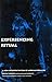 Experiencing Ritual: A New Interpretation of African Healing (Contemporary Ethnography)