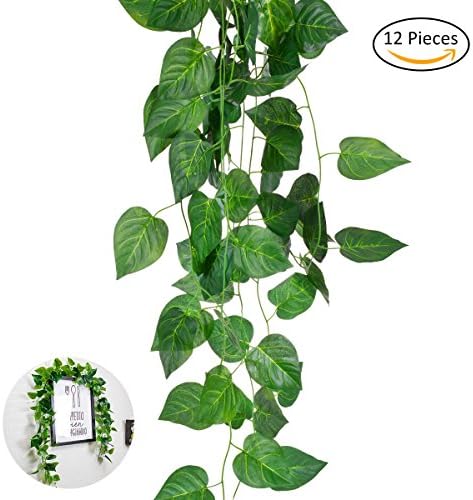 TankerStreet 12 Pack Artificial Hanging Plant Garland Foliage Vine Plant Ivy Leaves 2.4m Long with 36 Green Leaves for Indoor Outdoor Wedding Windowsill Fence Wall Decoration