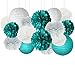 Teal Bridal Shower Decorations White Teal Grey Tissue Paper Pom Pom Paper Lanterns Teal Themed Party Wedding Teal Blue Baby Shower Teal Sweet 16 Birthday Party Decorations Mermaid Party Supplies