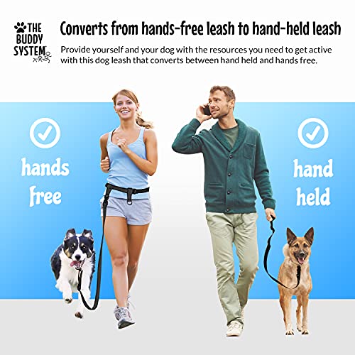 buddy system hands free leash