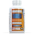 Digestive System Enzymes - Plant-based - For Proper Digestion of Multiple Foodgroups - Supports Gluten Digestion