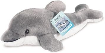 teddy dolphin