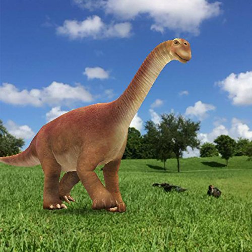 AR Animal Flash Cards. Introduction to Dinosaurs, Land and Sea Animals, Birds and Insects. Interactive 3D Game for Endless Discovery, Storytelling and Sounds