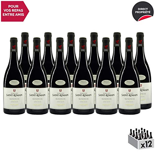 Vin de Savoie Mondeuse cru Jongieux Rouge 2017 - Domaine Saint-Romain - Vin AOC Rouge de Savoie - Bugey - Cépage…