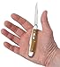 Case WR XX Pocket Knife Smooth Antique Bone Medium Stockman Item #58185 - (6318 SS) - Length Closed: 3 5/8 Inches