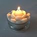 ILY Nature's Light Natural & Unscented White Soy Pillar Candle Water Lily 8 Hour Burn Time 2.75 x 1.6 Inch 0.17 lb Grown and Made in The USA