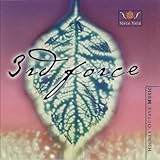 FORCE FIELD                                       