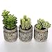 MyGift Set of 3 Realistic Artificial Green Succulent Plants in Rustic Gray Round Mason Jar Style Planter Pots