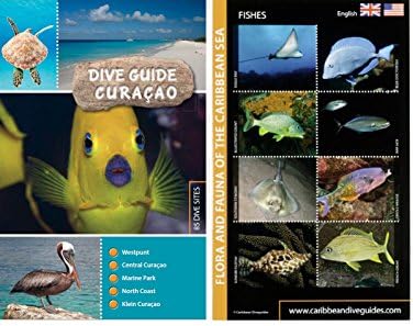 Dive guide Curaçao + fish ID card