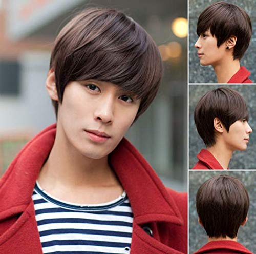 Men S Hair Short Fluffy Hair Handsome Hair Style False Hoods For