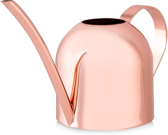 Cute Watering Can