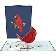 Lovepop Everyday Pop-Up Card for Her and Him- 3D Thinking of You Greeting Cards for Boys, Girls, Men, Women - 5" x 7" Cardinal - Blank Note Card & Envelope Included