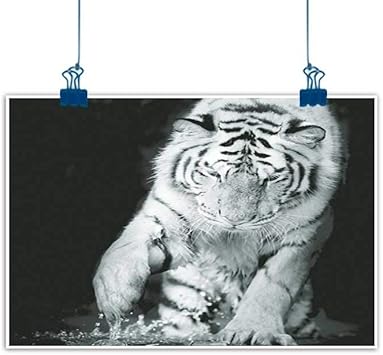 Amazon Com Canvas Prints Wall Decor Art Tiger Black And White