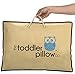 Toddler Pillow 13x 19-Inch Hypoallergenic Organic Cotton Shell Pillow and Carrying Bag, Blue Owl